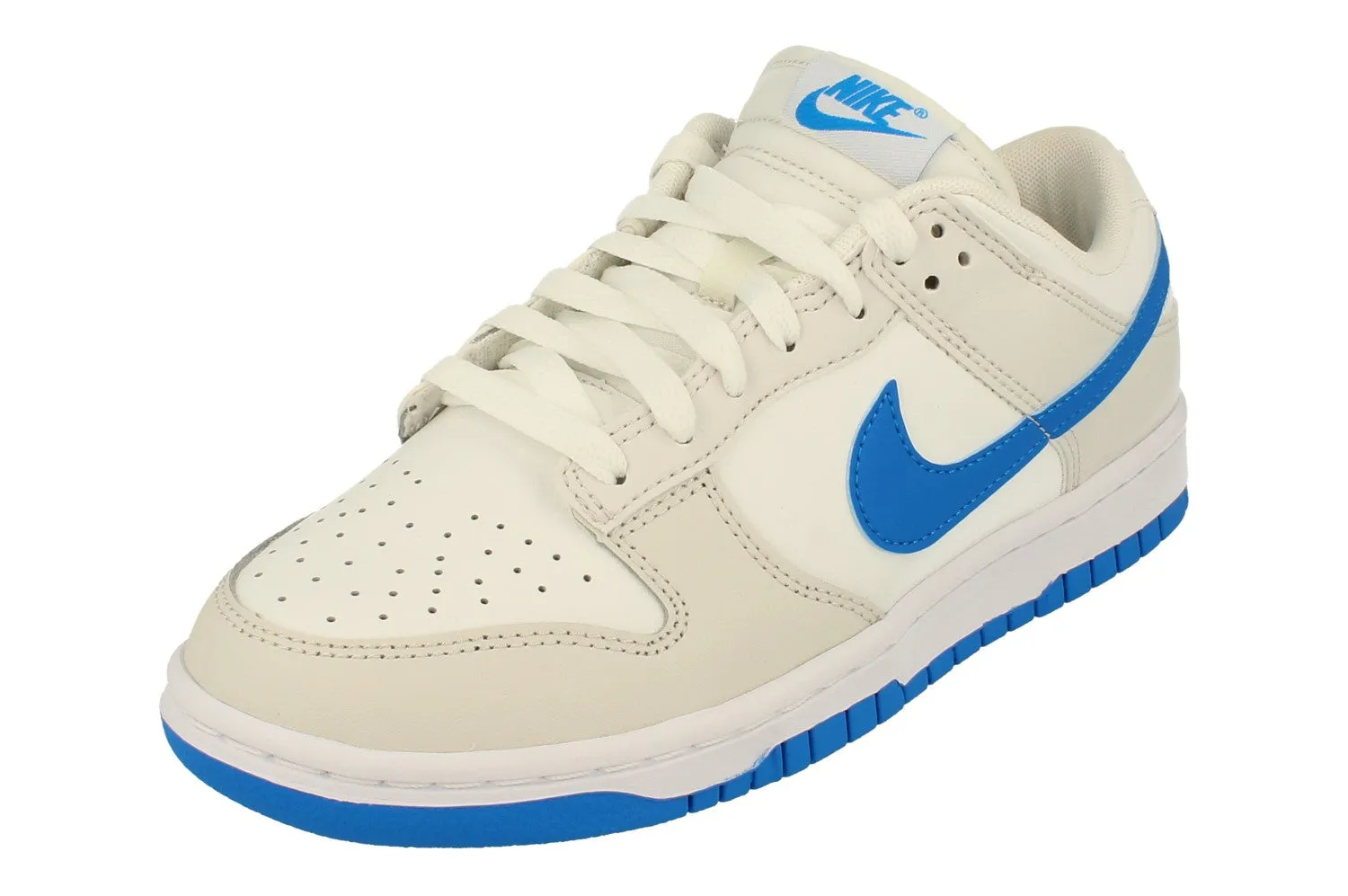 Nike Dunk Low Retro Mens Trainers DV0831 108